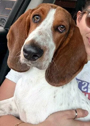 Lucy Aka Lula thumbnail 2