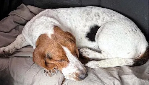 Lucy Aka Lula thumbnail 3