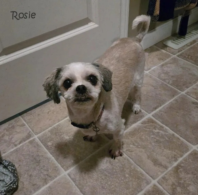 Rosie