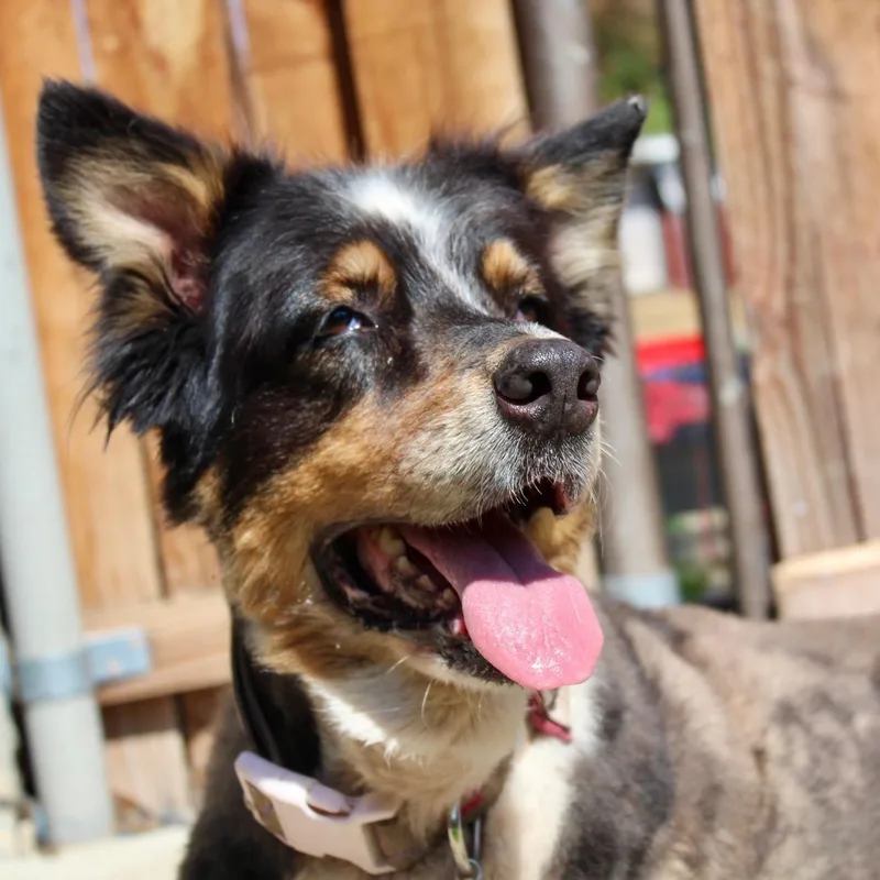 Ms. Gorgeous Minni thumbnail 3