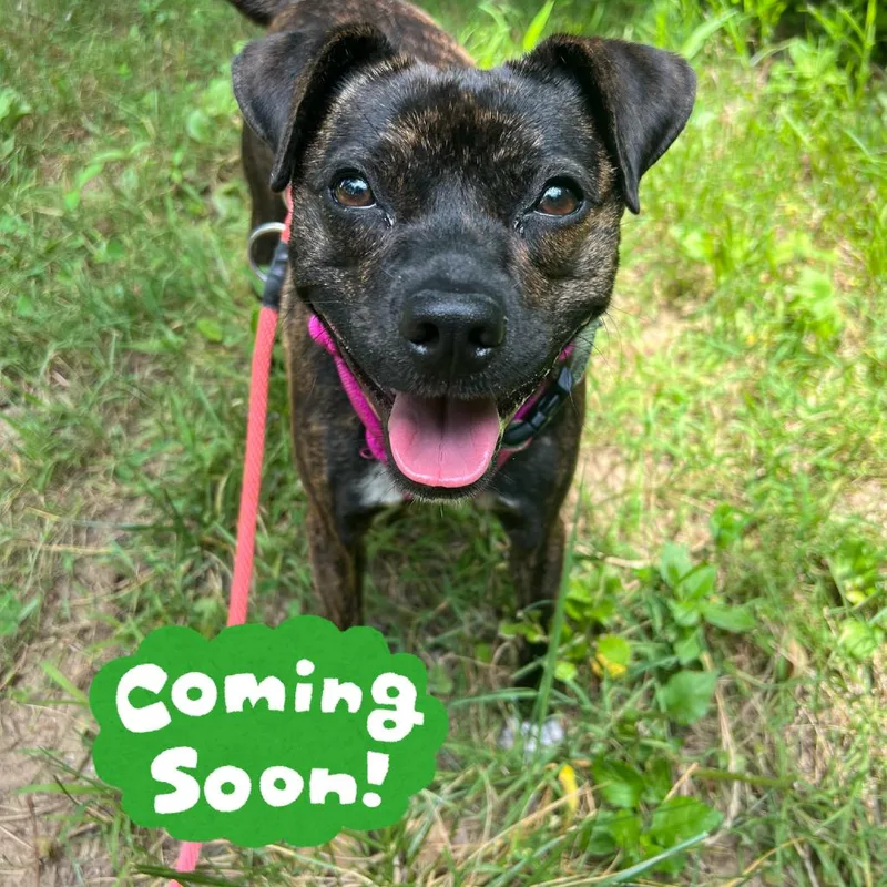 Cleo thumbnail 5