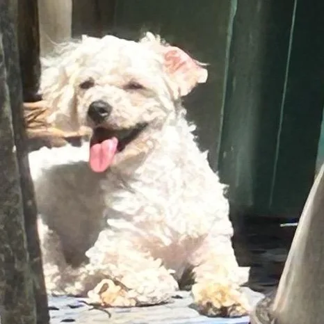 Gorgeous Ginny thumbnail 2