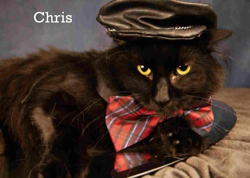 Chris thumbnail 2