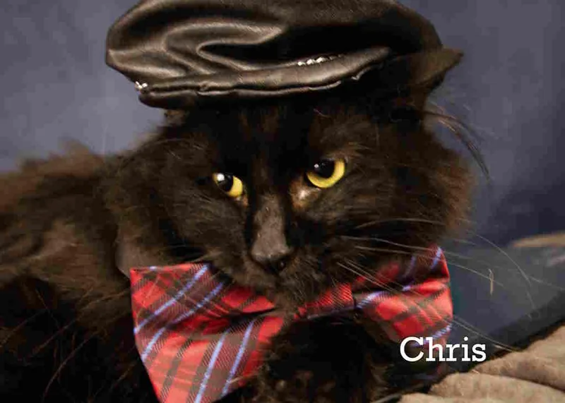 Chris thumbnail 5