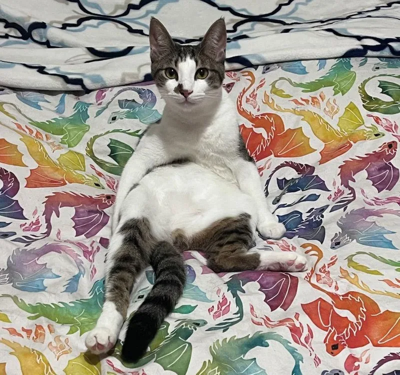 Chandler Mrbrighteyes thumbnail 3