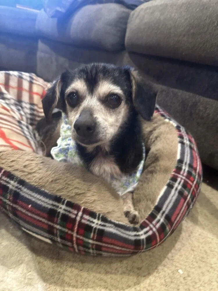 Little Debbie thumbnail 2