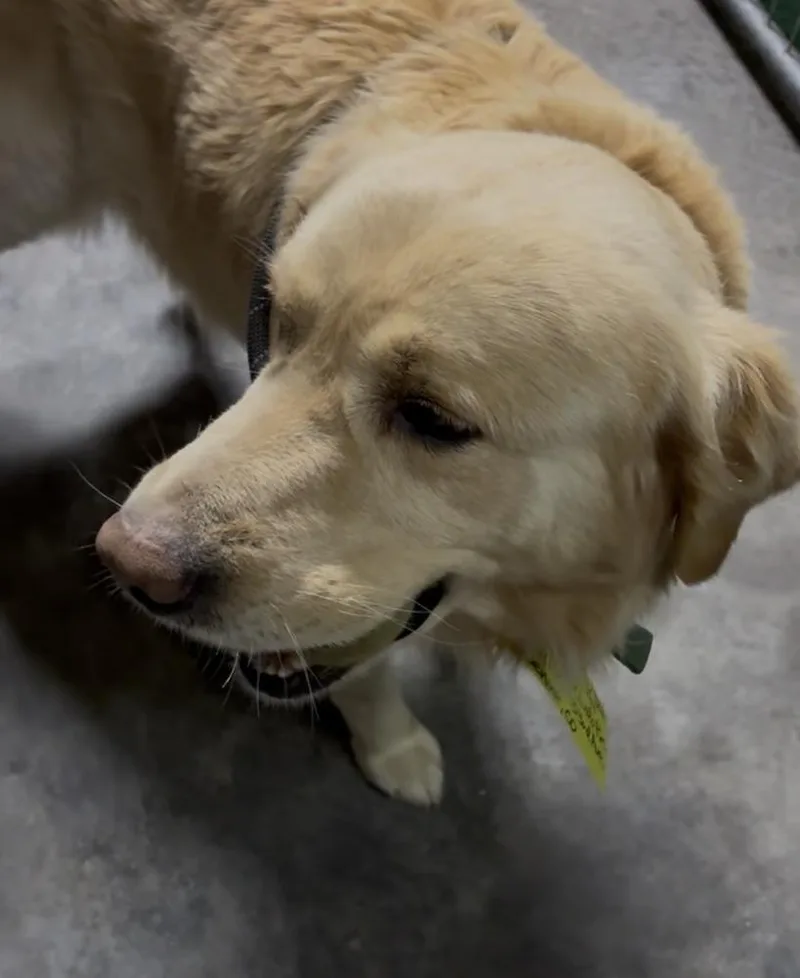 Christianee  Oliver thumbnail 2