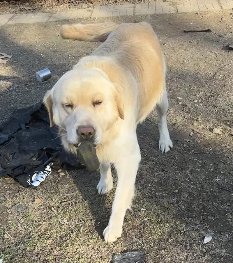 Christianee  Oliver thumbnail 4