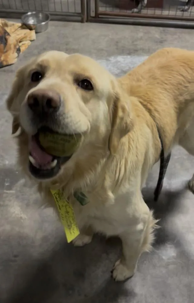 Christianee  Oliver thumbnail 5