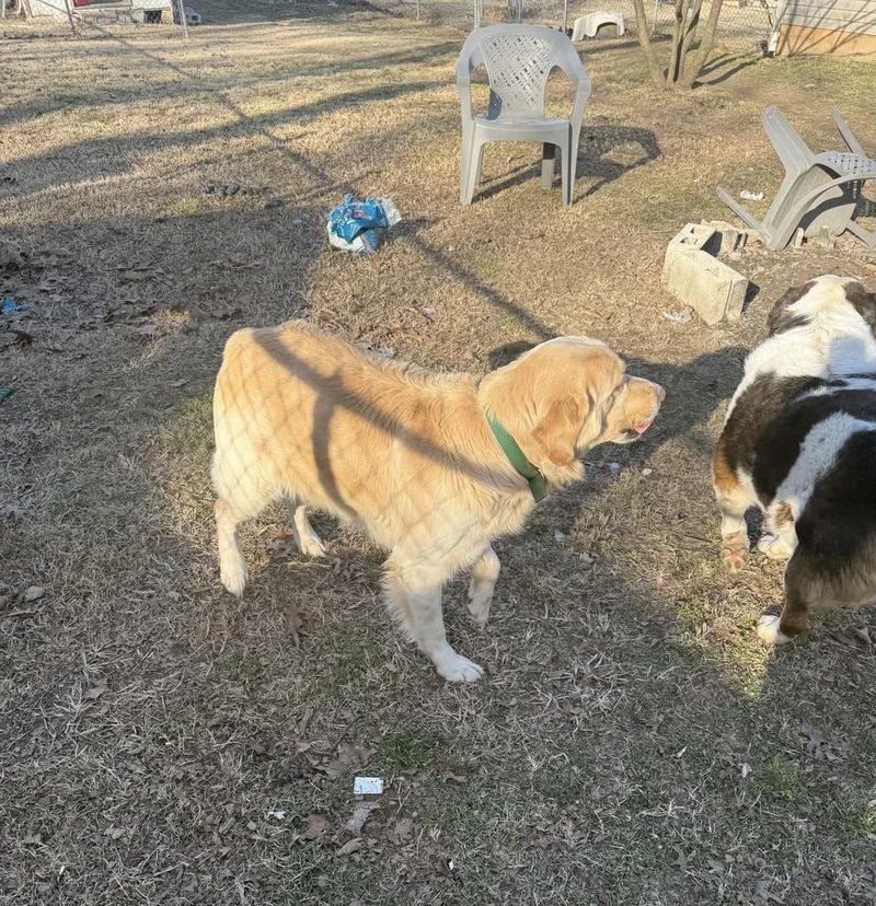 Christianee  Oliver thumbnail 6