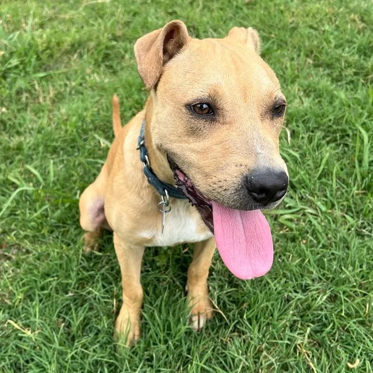 Peggy Schuyler thumbnail 2