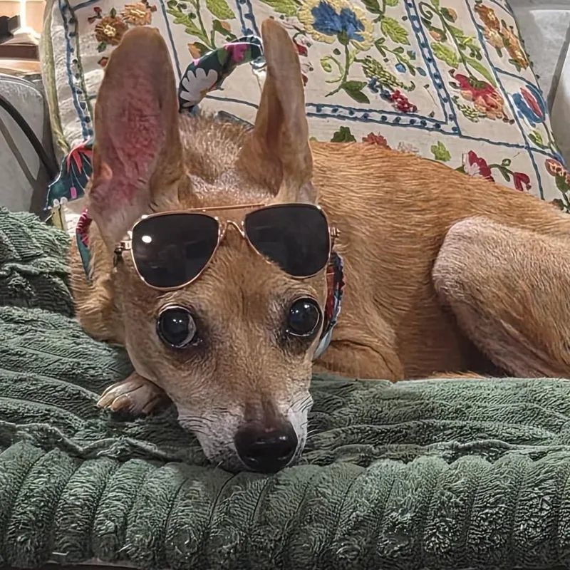 Willie thumbnail 6