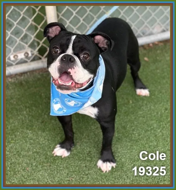 Cole thumbnail 2