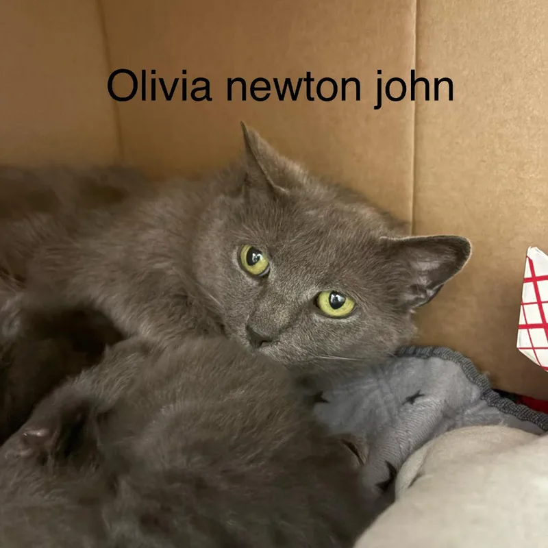 Olivia Newton John