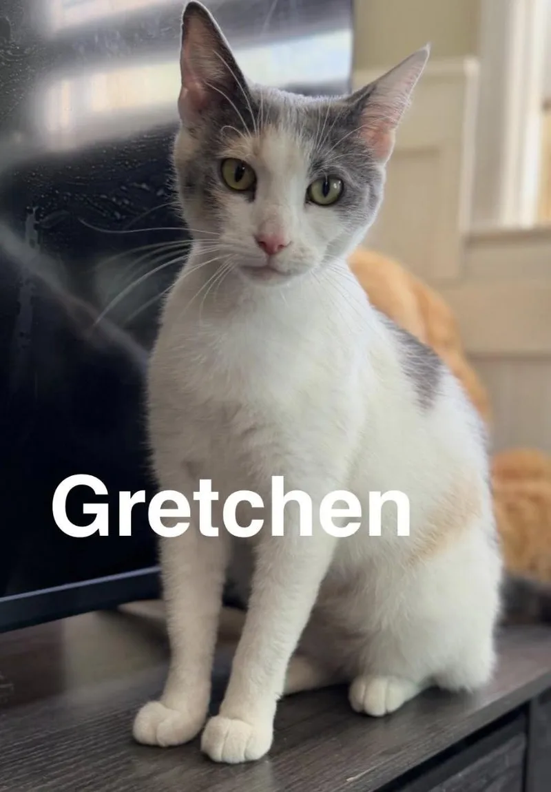 Gretchen