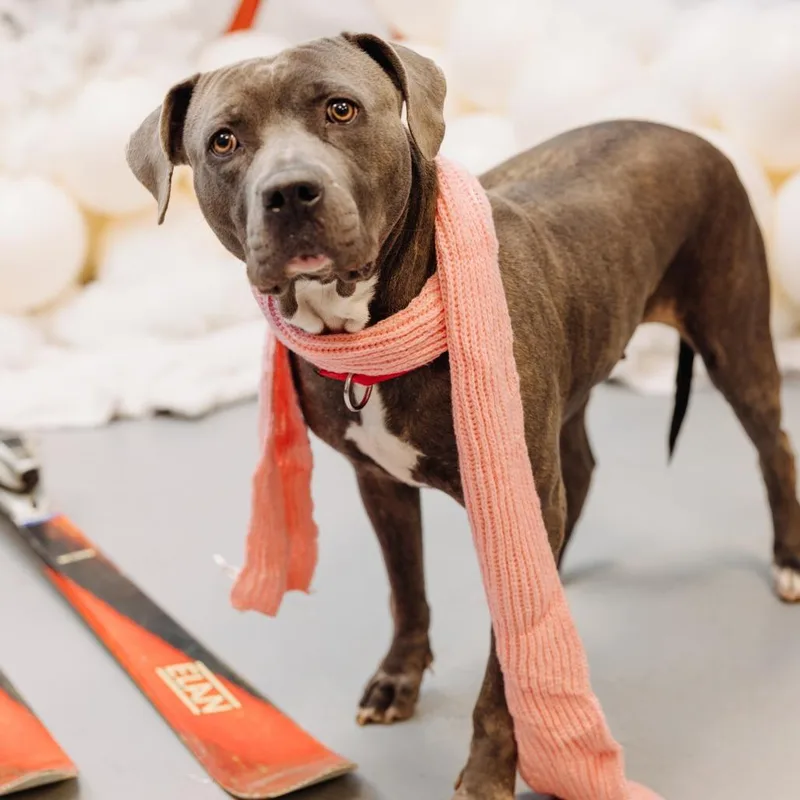 Hippolyta Freeman thumbnail 3