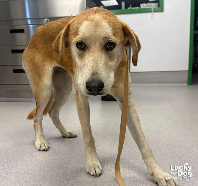 Alexis thumbnail 2
