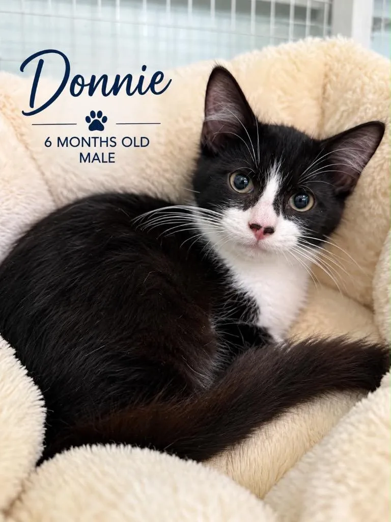 Donnie