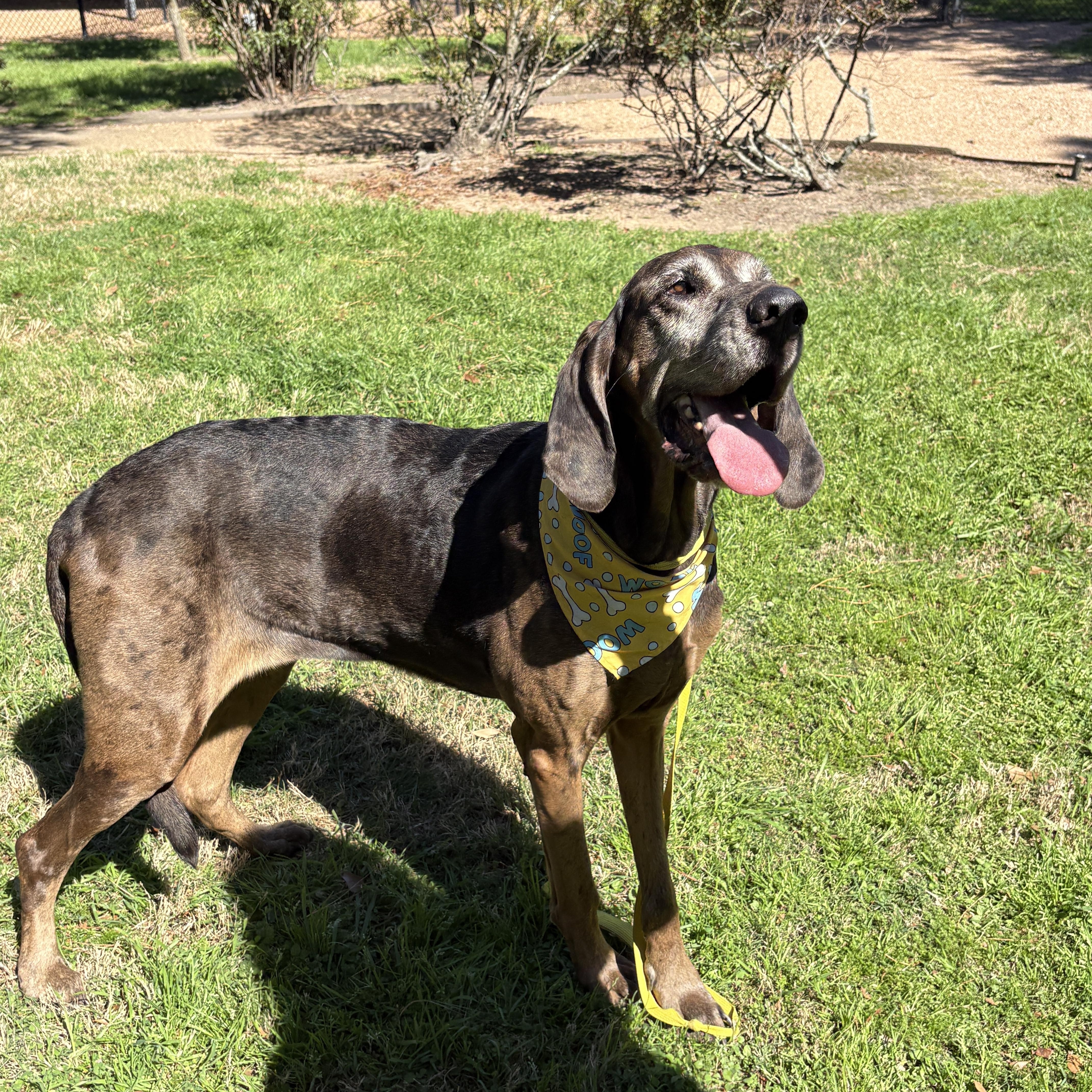 Maggie She’s Special! thumbnail 6