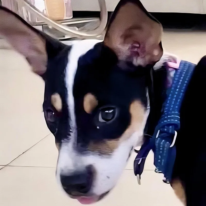 Precious Pretty "the Sweetheart