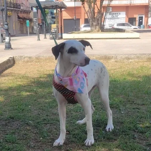 Lucero "hold Me In thumbnail 2