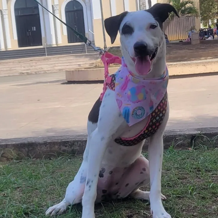 Lucero "hold Me In thumbnail 4