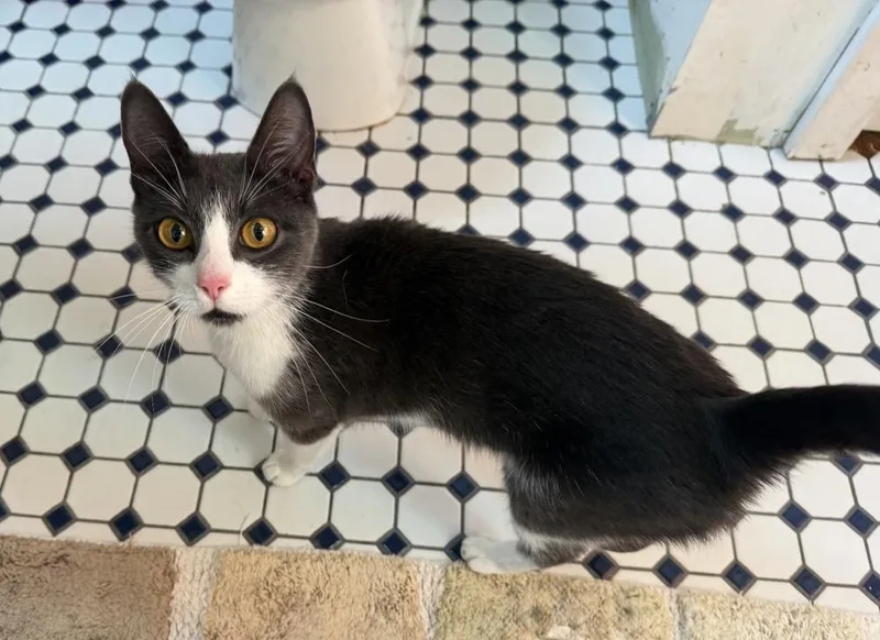 Mama Missylitter thumbnail 2