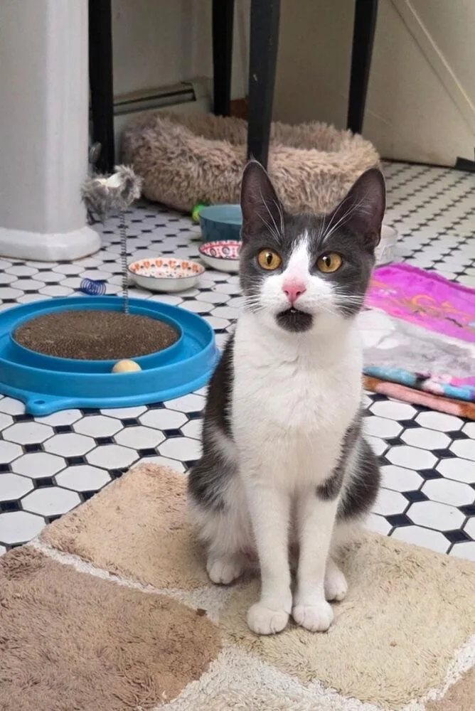 Mama Missylitter thumbnail 3