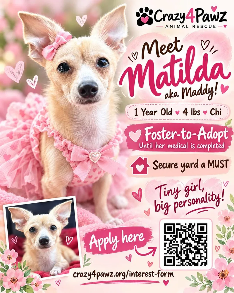 Matilda thumbnail 6