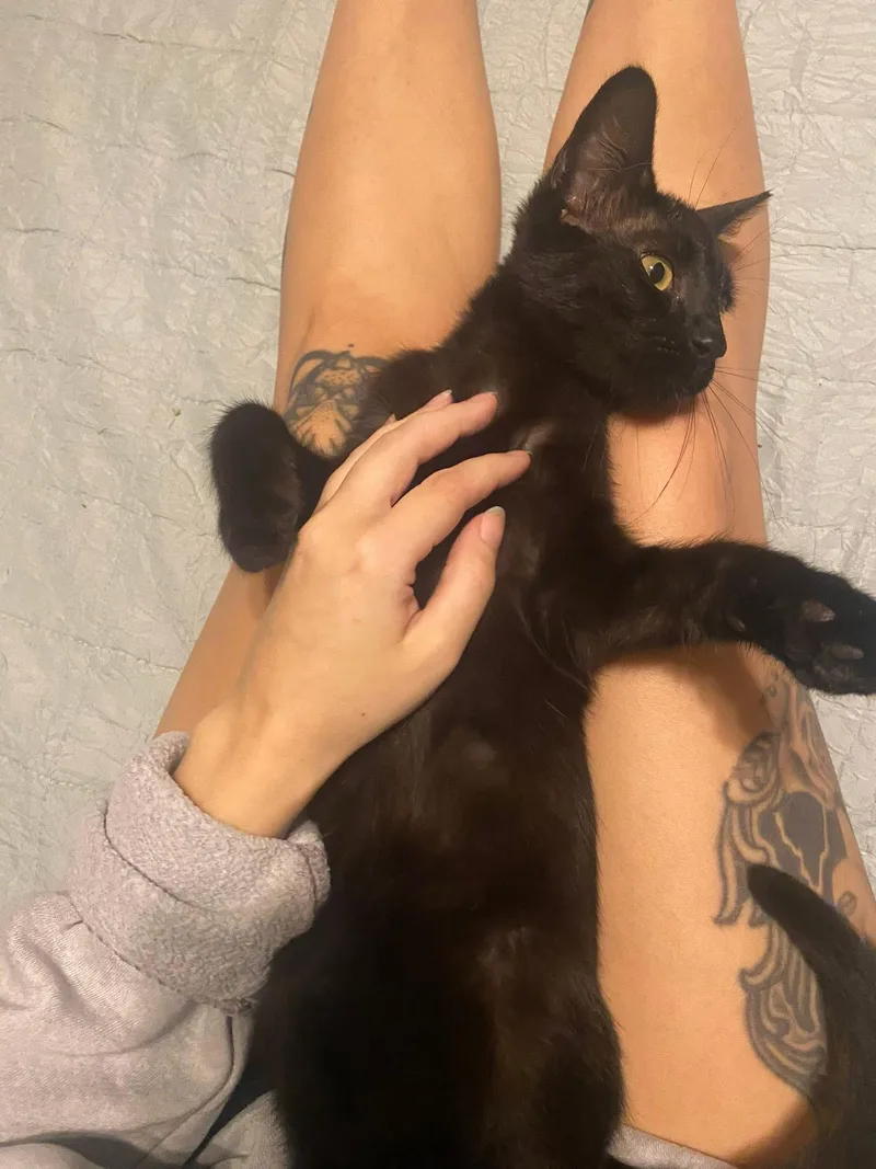 Sadie and Salem thumbnail 3