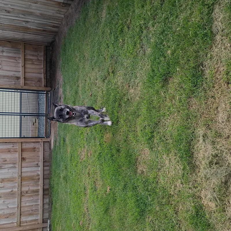 Timber thumbnail 2