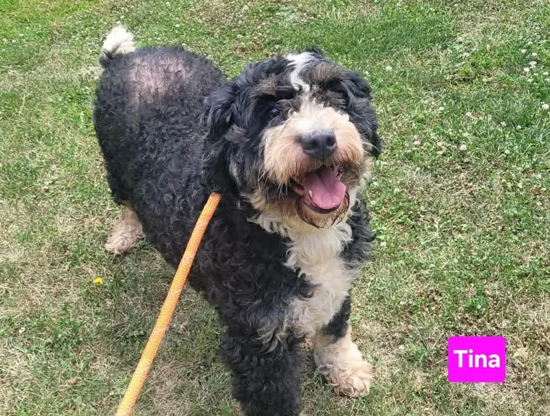 Tina