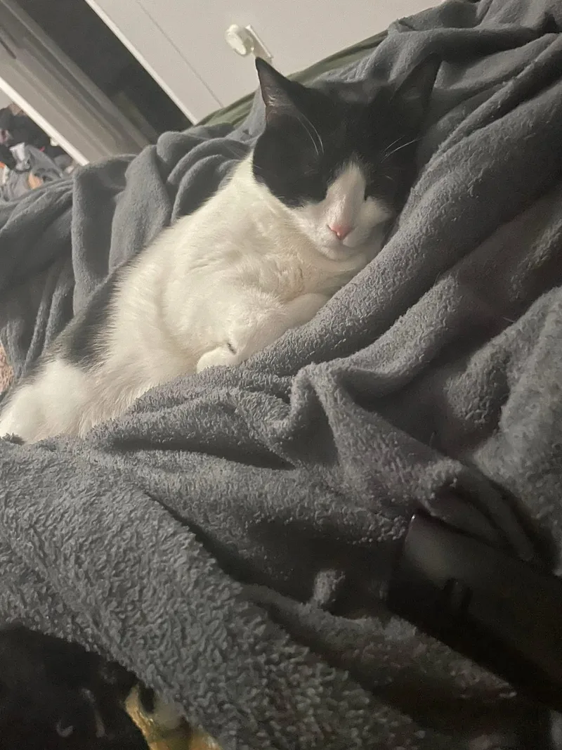 Luna Rose thumbnail 2