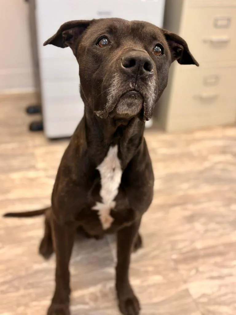 Astro