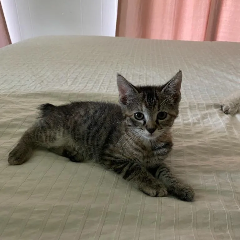 Tinman And Scarecrow thumbnail 3