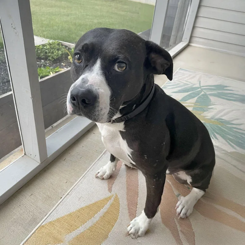 Tinkerbell thumbnail 3