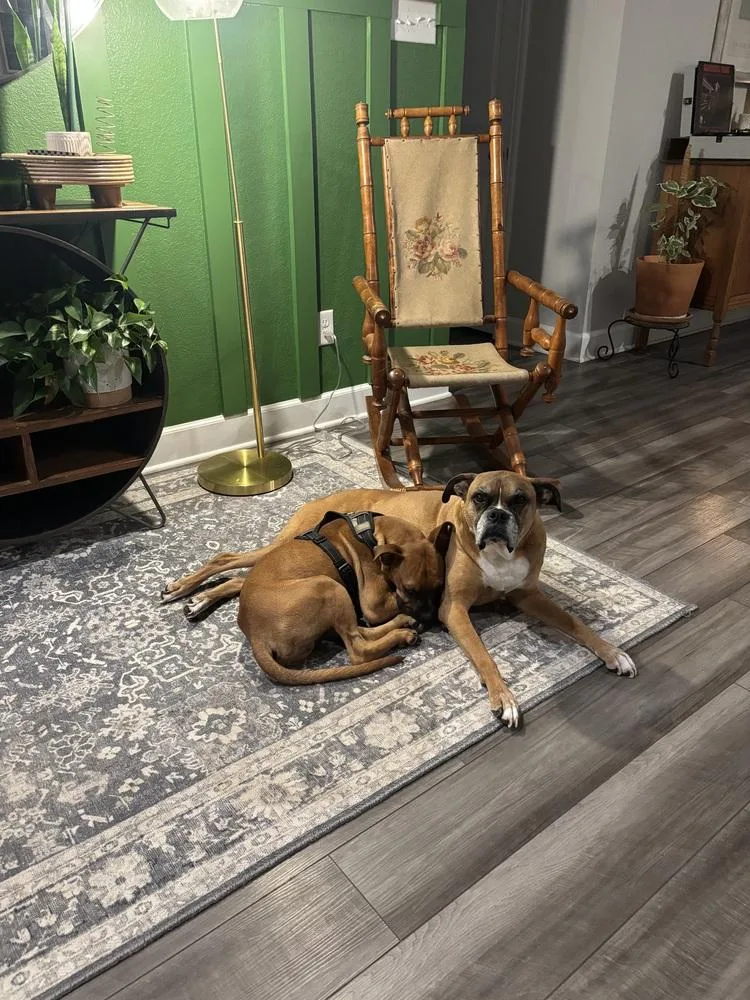 Orange Crush thumbnail 2