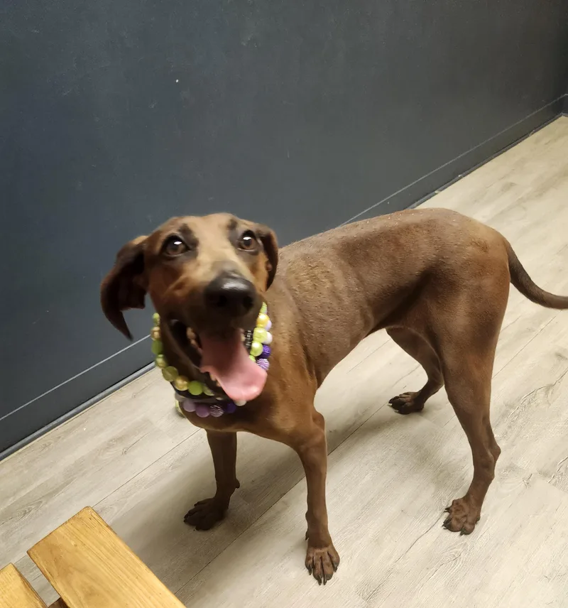 Miss Bb Prison Program thumbnail 3