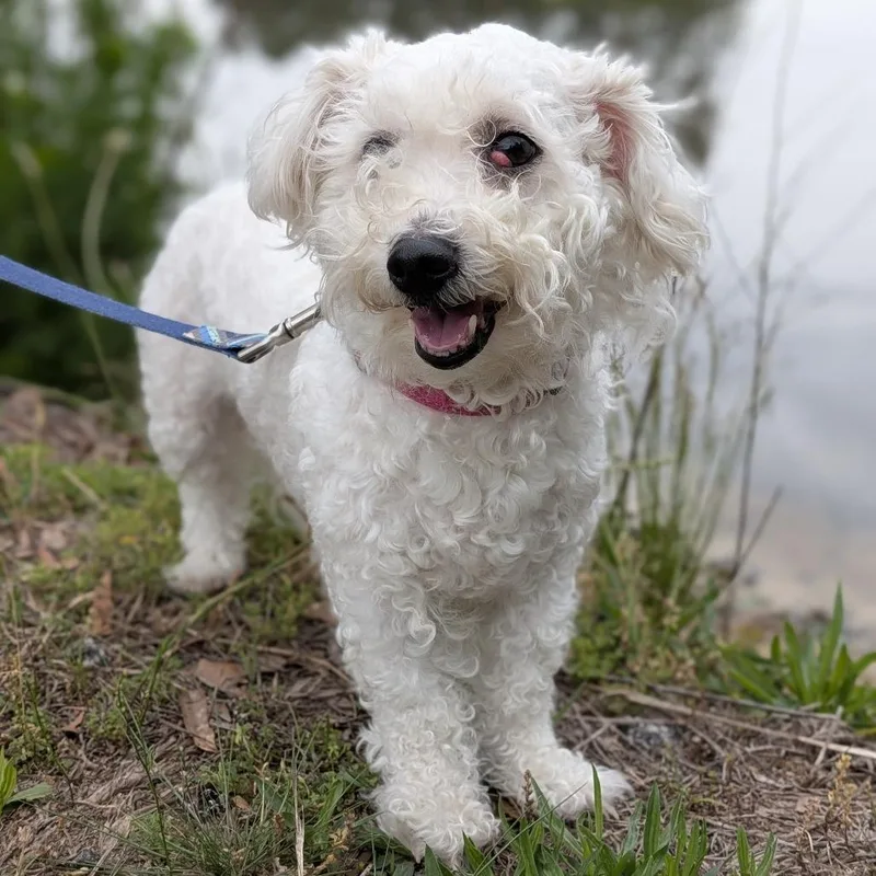 Sophie