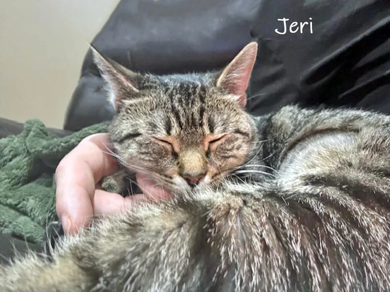Jeri thumbnail 2