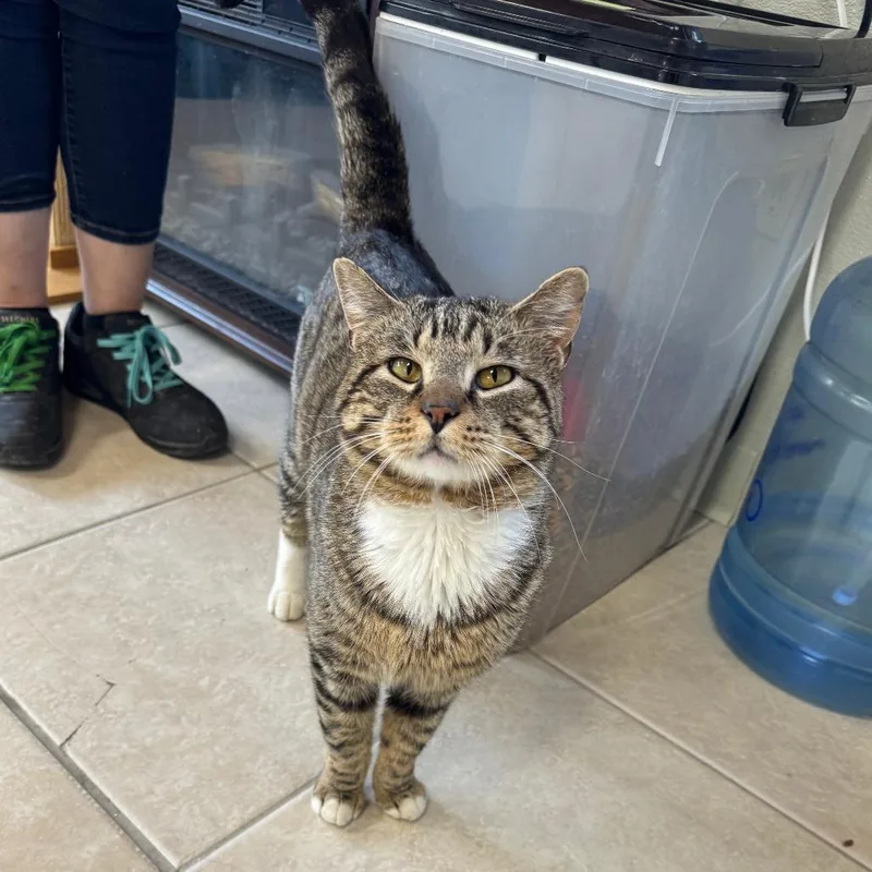 Franklin thumbnail 3