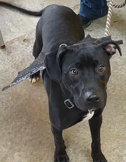 Serendipity thumbnail 3