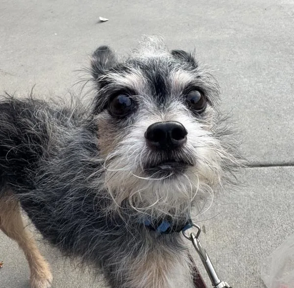 Joseph Jose thumbnail 3