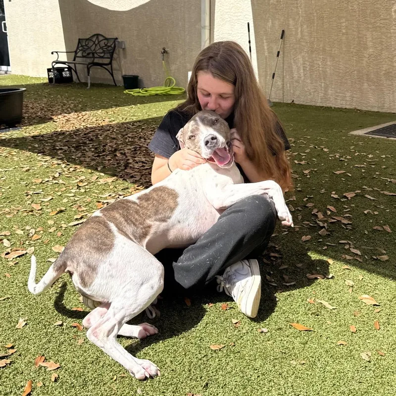 Buster thumbnail 3