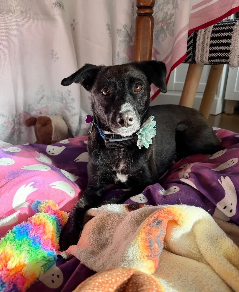 Reina Paragould  Local thumbnail 2