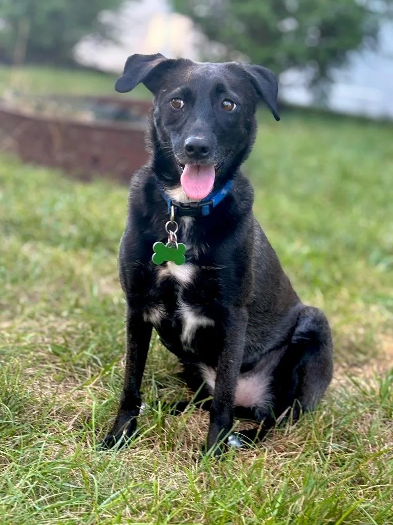 Reina Paragould  Local thumbnail 4