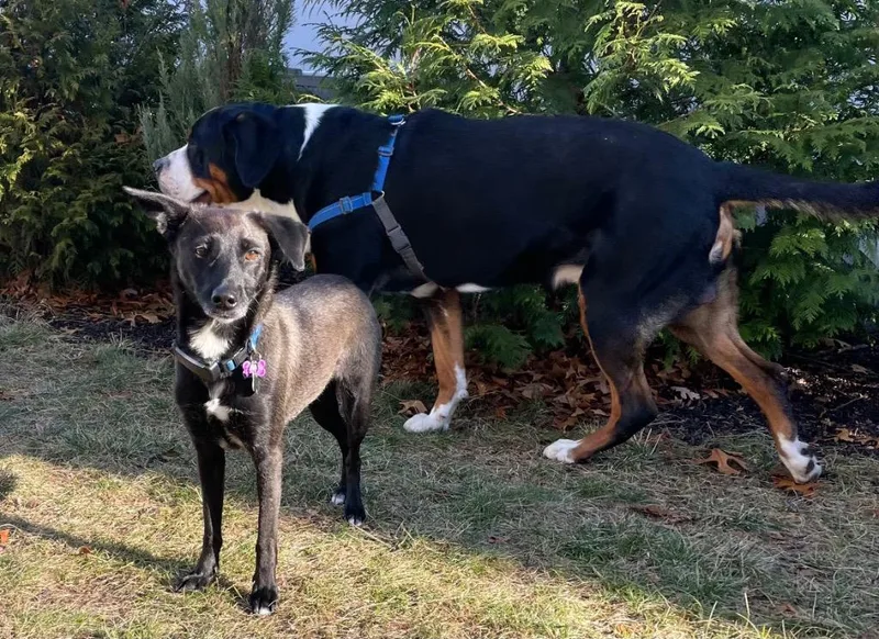 Reina Paragould  Local thumbnail 5