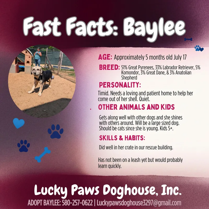 Baylee thumbnail 3