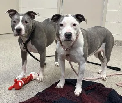 Khloe Jane thumbnail 2