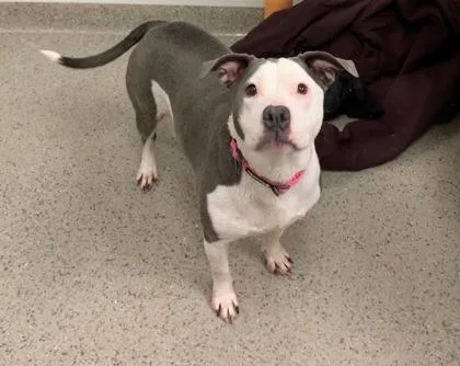 Khloe Jane thumbnail 3